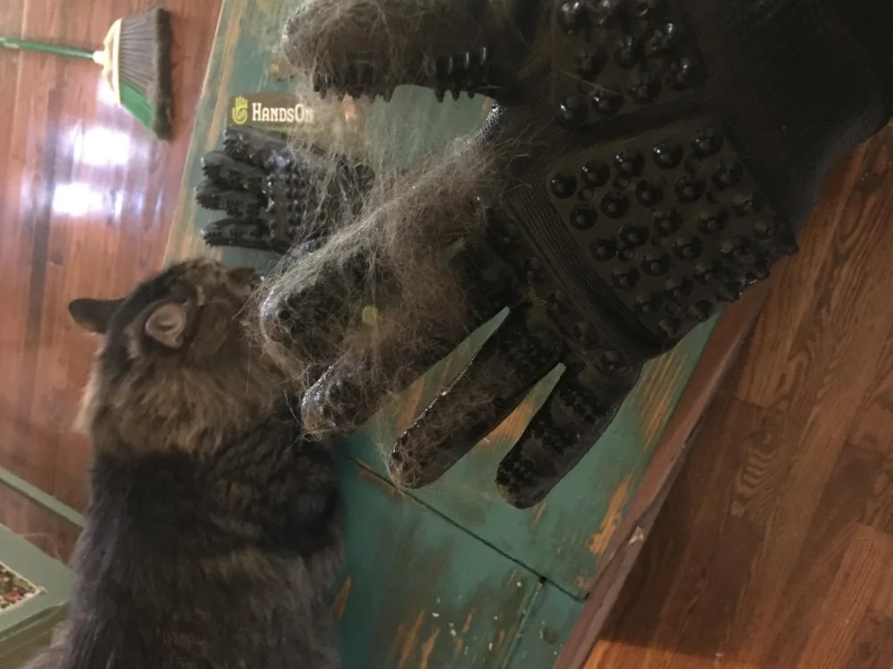 5349252456_145480134