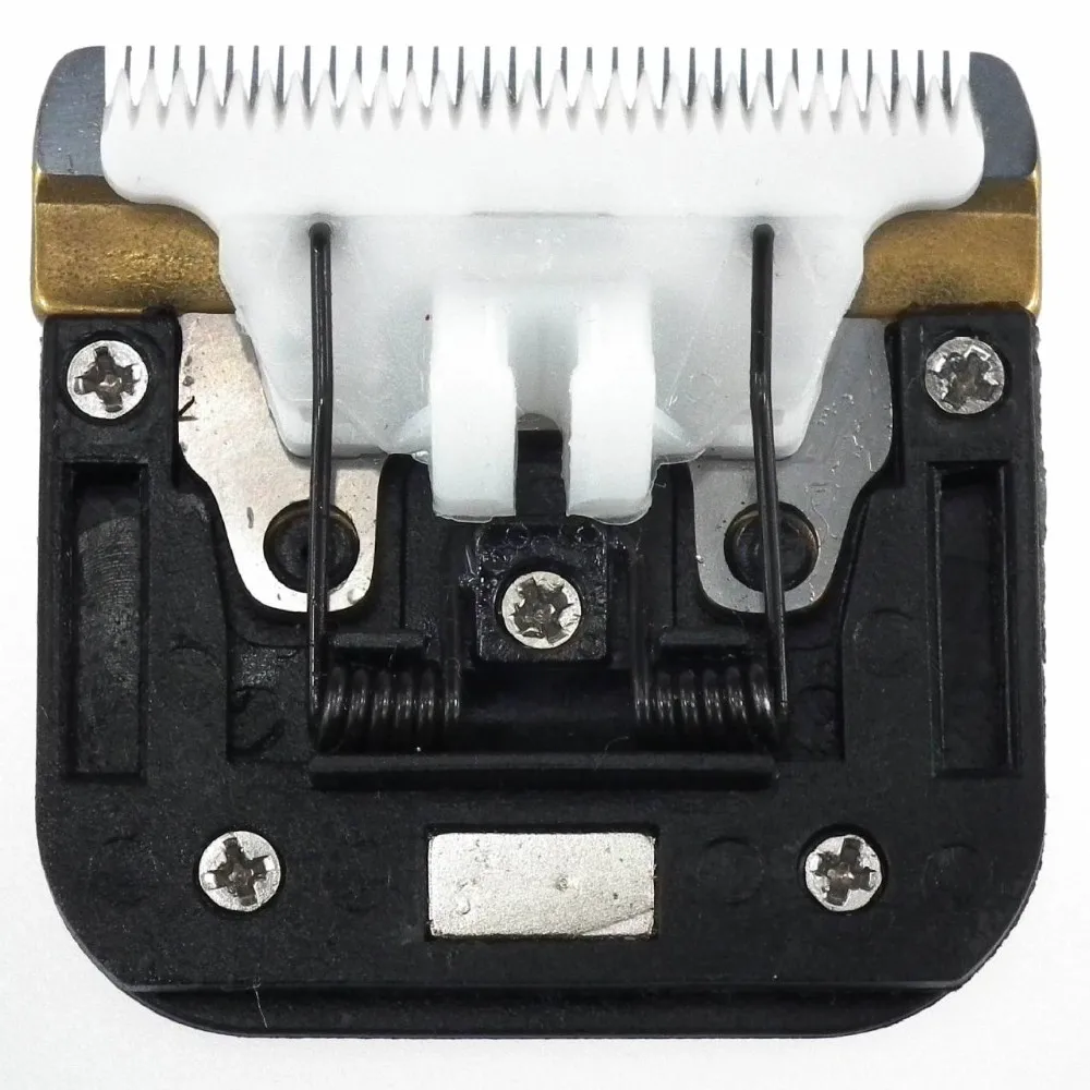 1785879053_1170619404