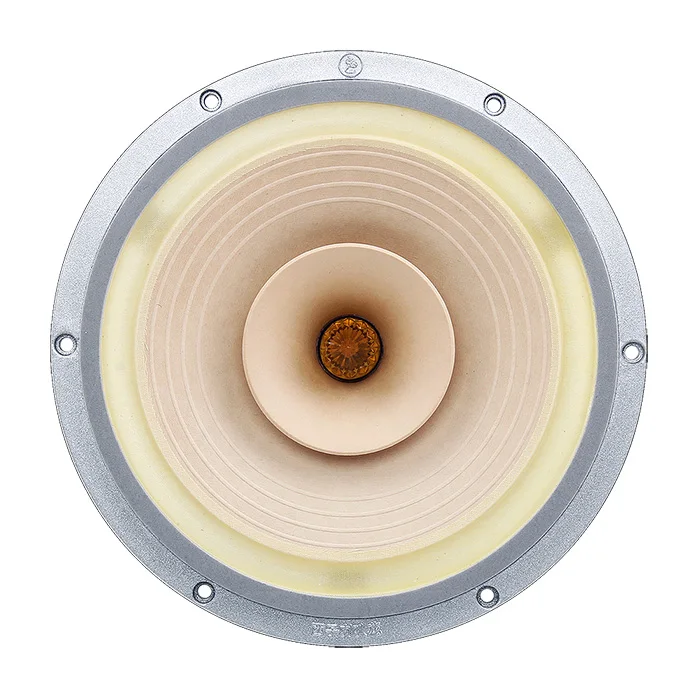HF 038 HiFi динамик s 10 дюймов полный диапазон Y38 аэрокосмический Магнитный