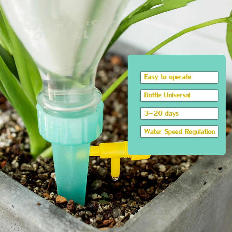 11024832865_1628448560