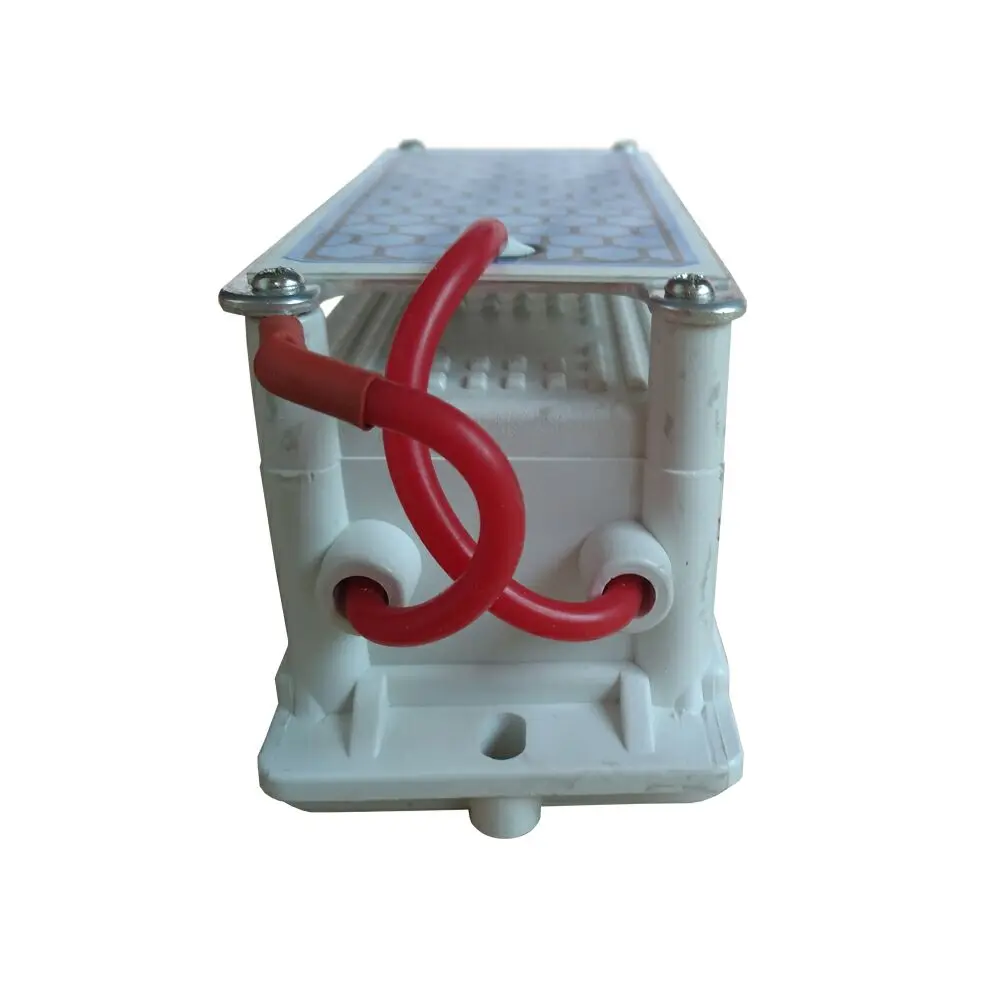 5g ozone generator (3)