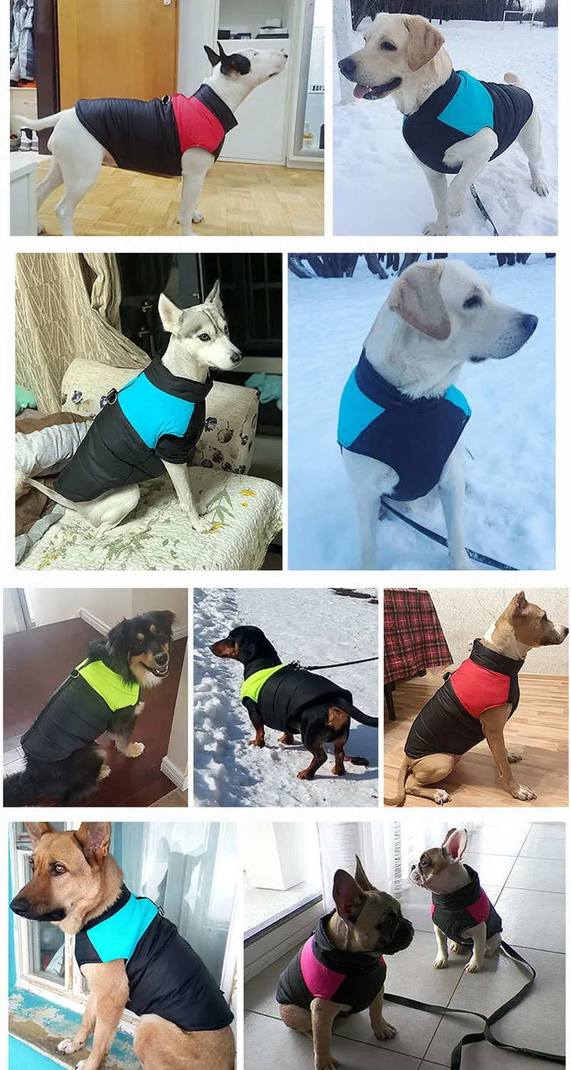 9010984882_609020808