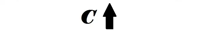 C 3