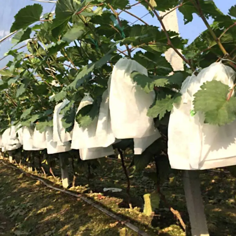 

4 sizes Mixed Breathable Garden Plant Fruit Vegetable Protect Drawstring Mesh Net Fabric Bag Anti insects pests birds