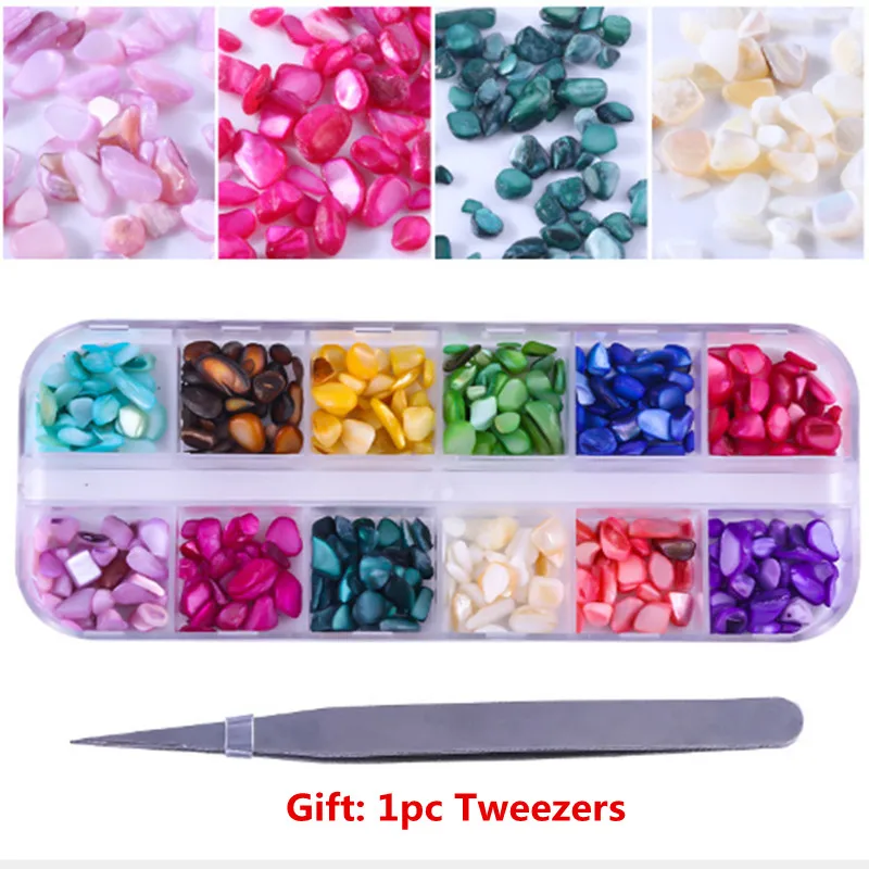 

1 Box 12 Colors Shell 3d Charm Nail Art Decoration DIY Salon Nail Decals Tools Colored Stone Nail Art with Free Tweezers