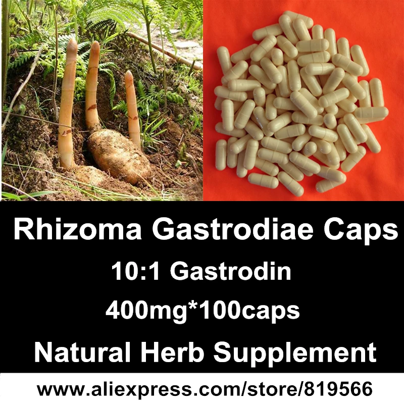 

Gastrodia Elata Gastrodin Capsules Natural Tall Gastrodia Tuber Extract Powder Caps Dietary Supplements Tianma