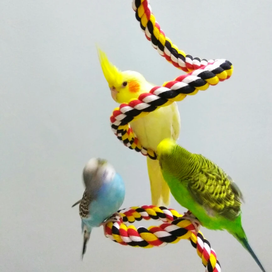 Petforu Bird Hanging Cotton Rope Perch Parrot Birdcage Climbing Rope