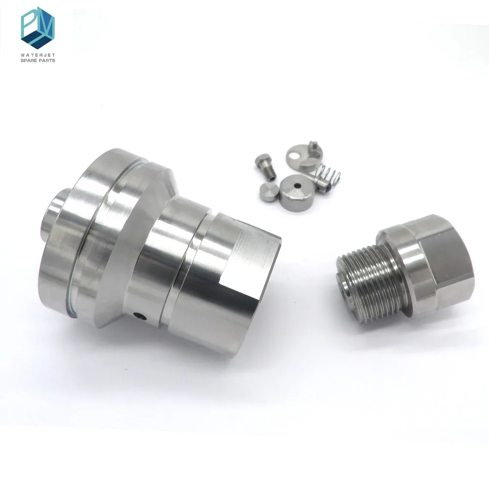 check valve body (6)