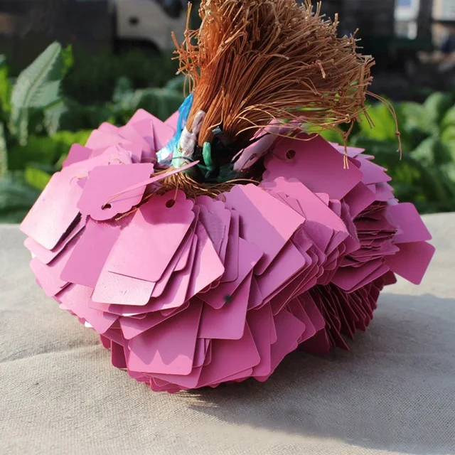 100Db/Készlet Tenyésztési Címke Kertészeti Üzem Pvc Vízálló Függő Jel Húsos Óvodai Stock Virágok Címkézés Csepp Aa - Image 2