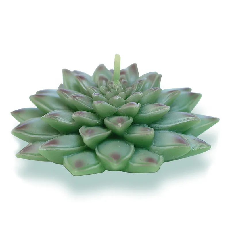 Succulent Plants Candle Decorative Tea Light Candles for Xmas Party Hallowmas Mother Day Wedding