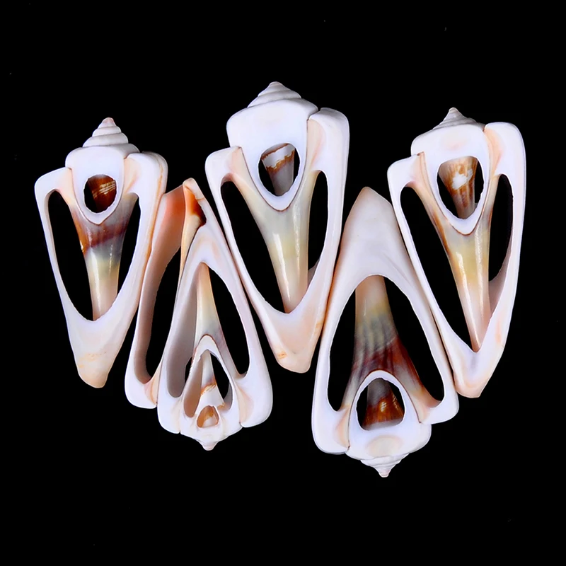 

5pcs 4-6cm Sea Natural Shell Conch Beads Cowry Cowrie Tribal Jewelery Craft Accessories holes DIY Small Bulk Cut Beach