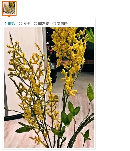 QQ20170107093101