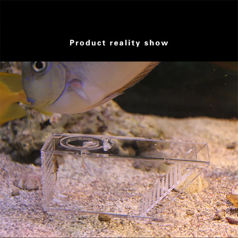Generic Acrylic Clear Aquarium Shrimps Crabs Trap Box One-way Valve Fish Tank Supplies (6)