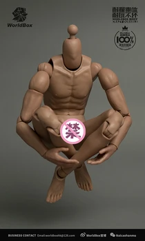 

1/6 scale military figures 1/6 Male Body Series Asian Skin tone WorldBox AT025 Durable Male Body Model for collection Gift