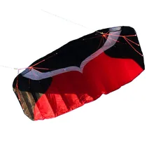 Профессиональный 2 м трюк двойной линии Parafoil воздушный змей с линии Мощность коса парусный кайтсерф Спорт Пляж