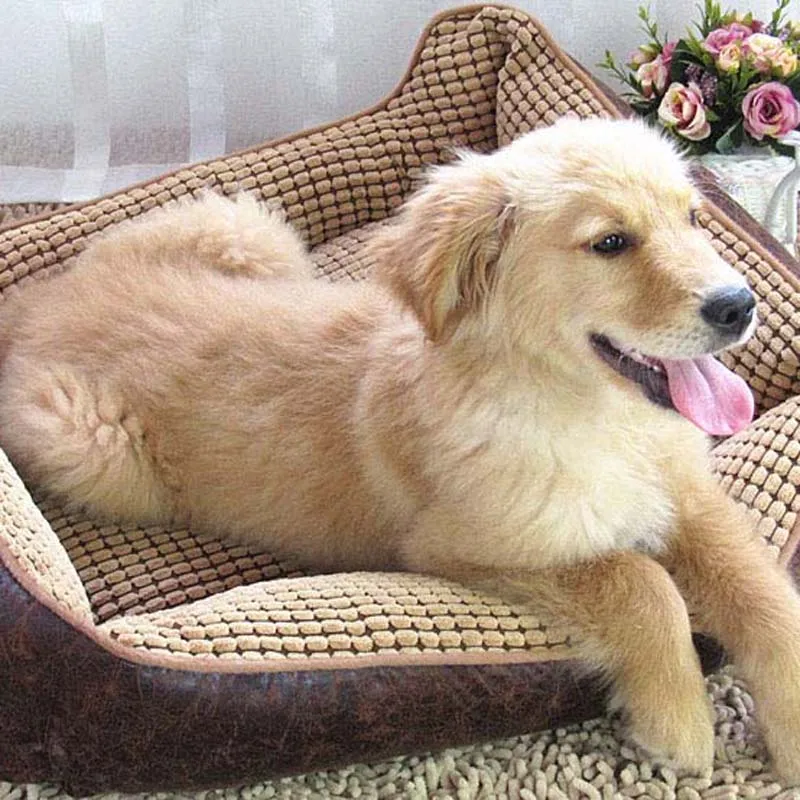 Hot-Sale-large-Dog-House-Bed-Waterproof-Comfortable-Pet-House-Kennel-large-Dog-Bed-Indoor-Pet (2)