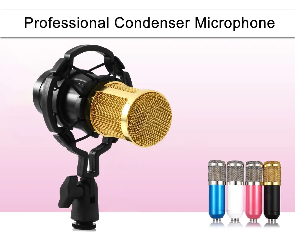 BM 800 Condenser Microphone 1