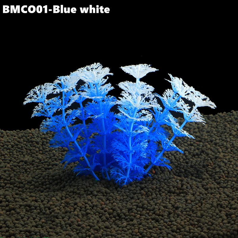 BMCO02 (3)