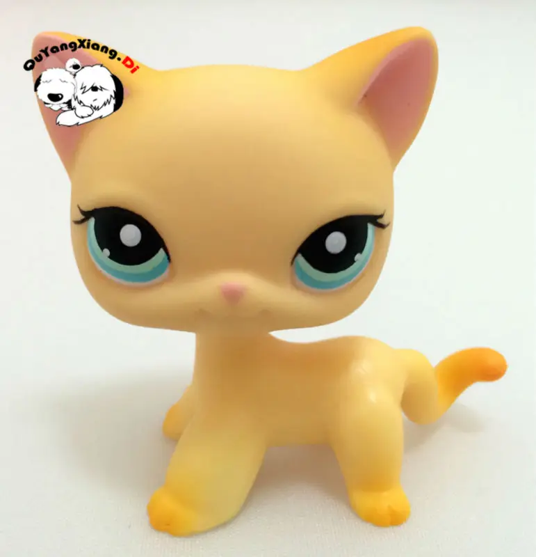 lps brooke