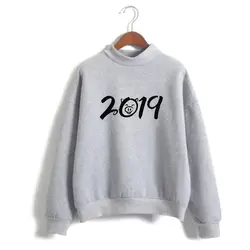 Frdun Tommy 2019 Новый свинья год мода Oversize сала водолазки для женщин геометрический толстовки с капюшоном Мода зима/осень одежда