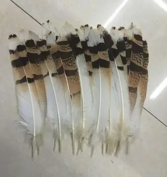 

Hot! 10pcs Natural eagle feathers15-20cm pheasant feathers for indian feather headdress/jewelry making accessory
