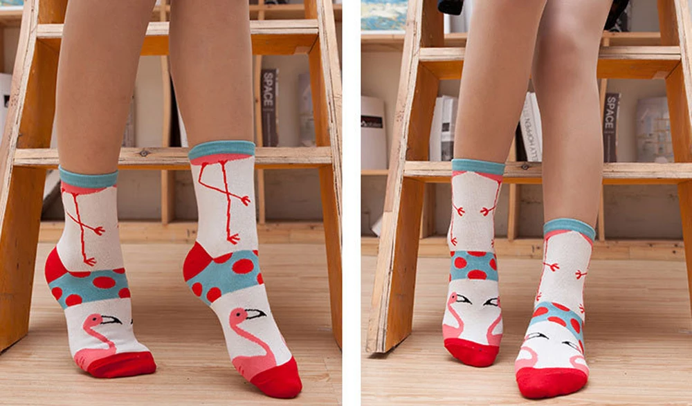 20170713_170847_045 - 