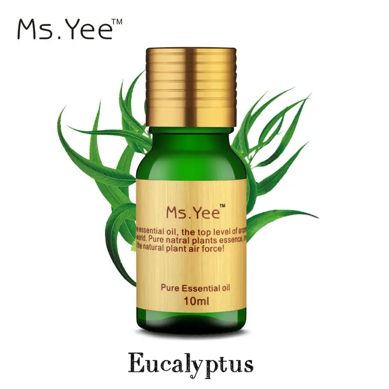 Eucalyptus oil Highest Plant Organic Certified Eucalyptus Essential