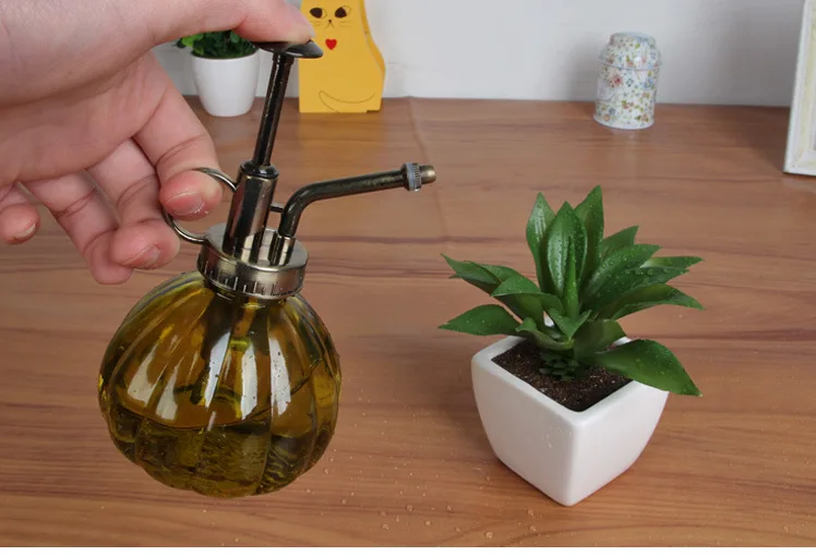 Vintage Spray Bottle Pressure Sprayer Decorative Watering