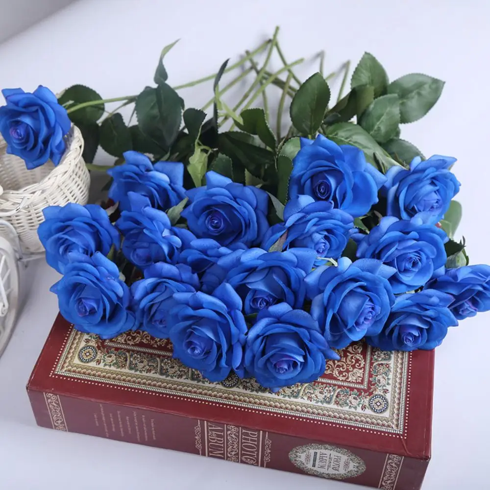 561503305683_SPDC12C94-5