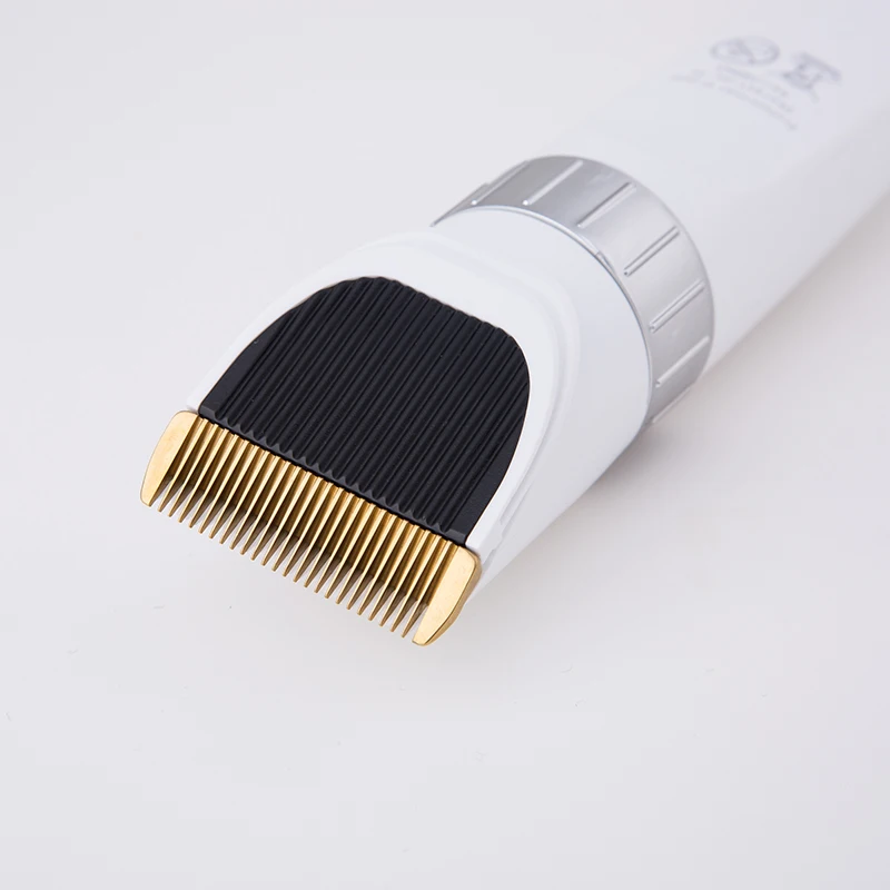 _91A2031