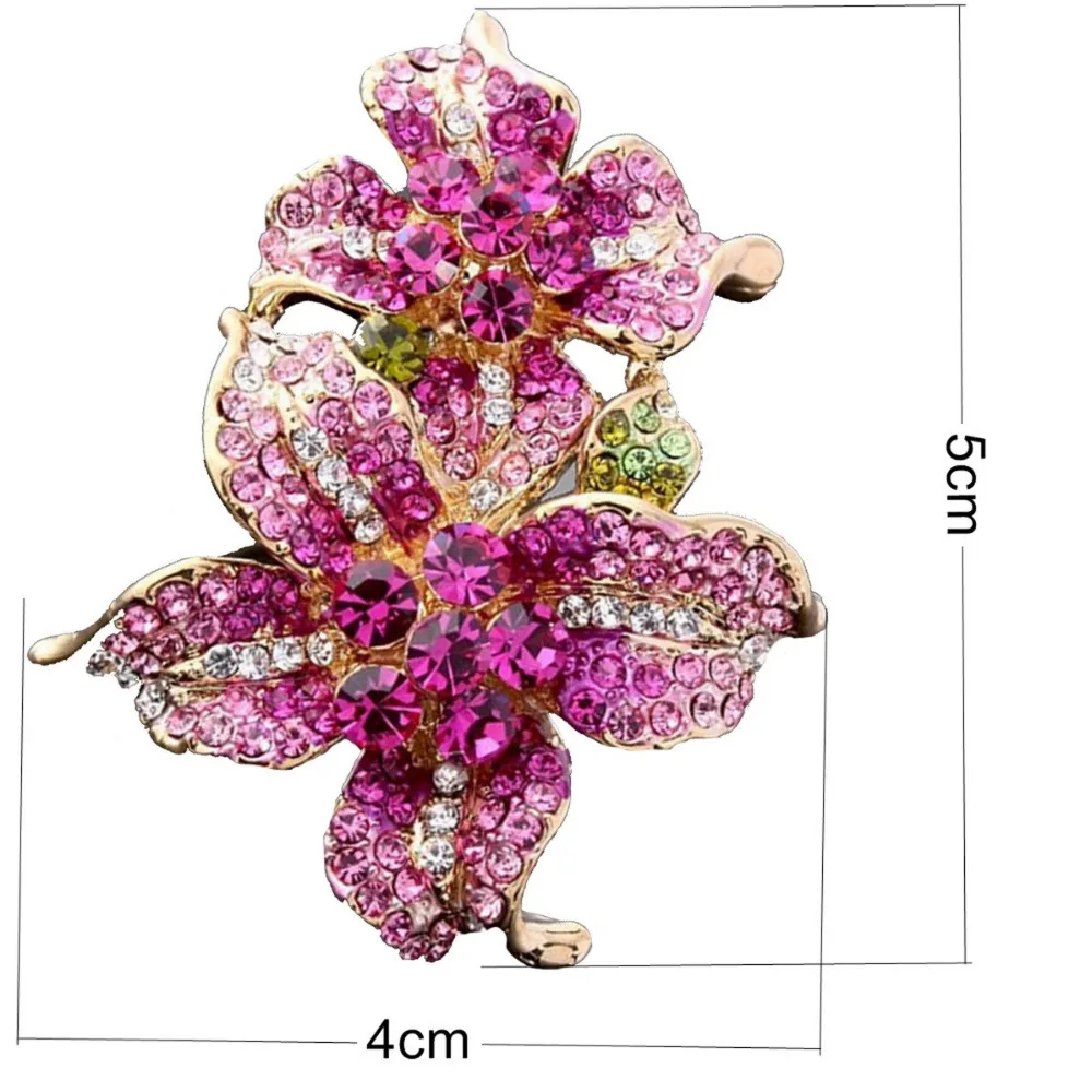 AR00019 (50)