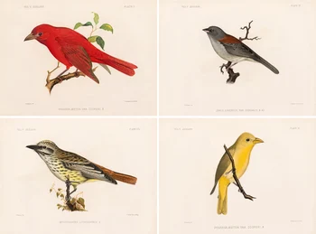 

Fresh Pastoral Style 4 Panels Decorative Canvas Paintings BIRDS ON THE BRANCH Wall Hanging Pictures for Home/Coffee Shop Decor