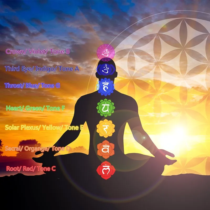 chakra body