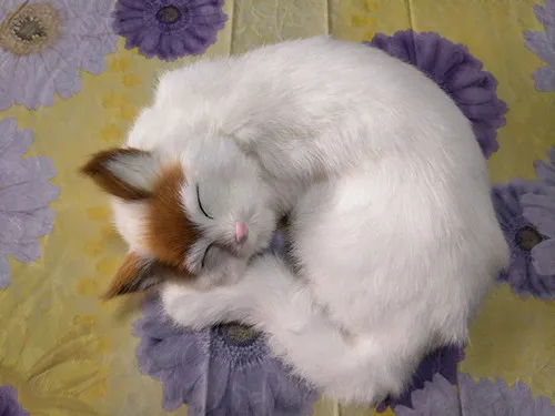 new simulation sleeping yellow head cat polyethylene & fur lovely cat model gift about 24x24cm158 new simulation cat sleeping cat lifelike white cat model gift about 19x8x14cm