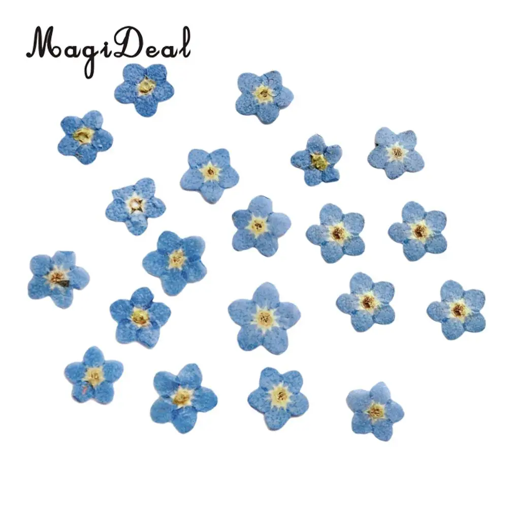 10x Pressed Real Dried Flower Dry Leaves for DIY Crafts Bookmark Card Making	