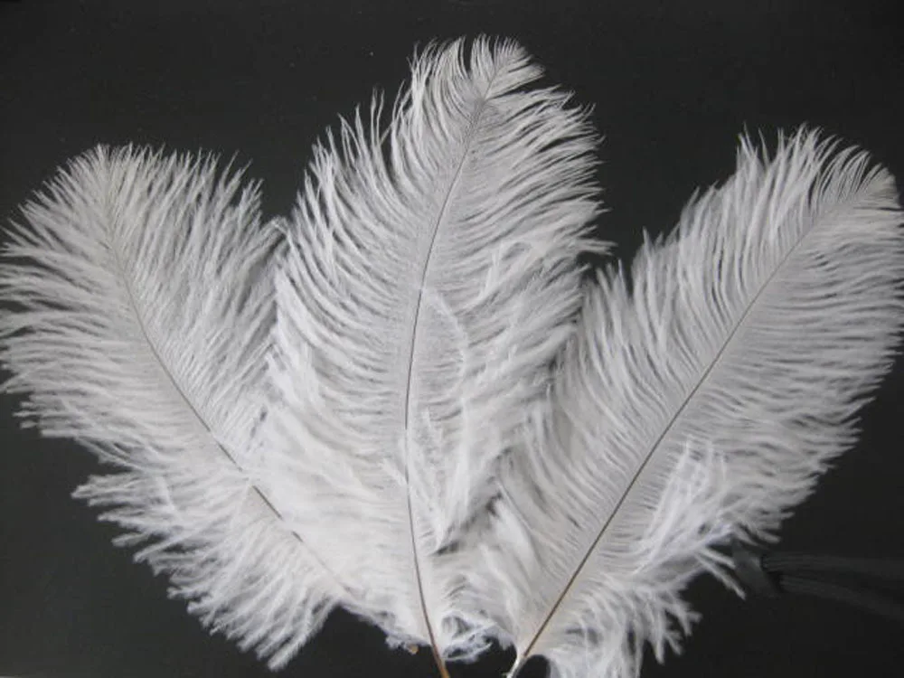 

Wholesale wedding 100 PCS beautiful white ostrich the feathers 8-10inch 20-25CM