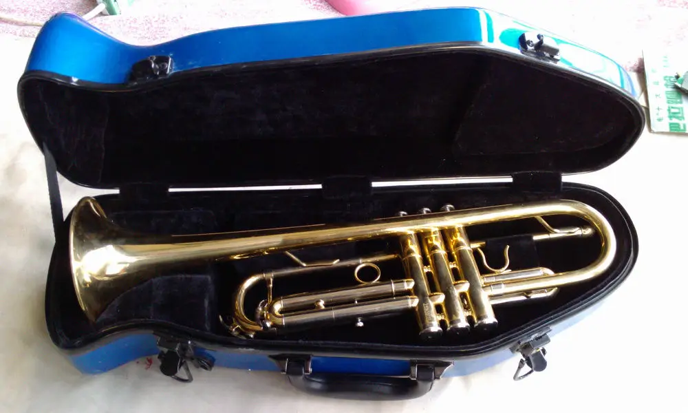 Blue color Trumpet glass fiber steel case Trumpet case or boxcase