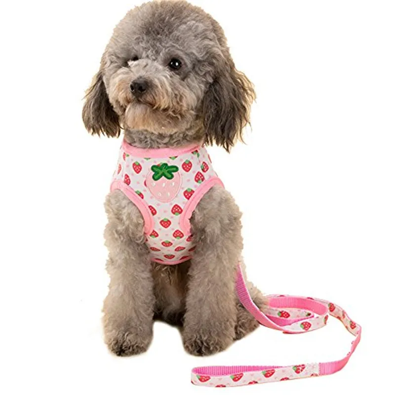 Cute Strawberry Rabbit Duck Dog Harness With Leash Puppy Cat Collar