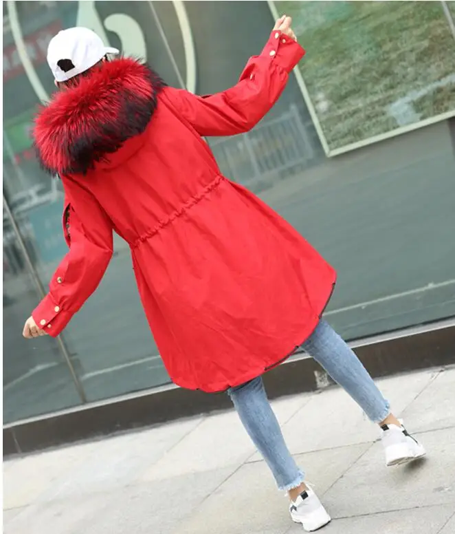 QQ20181211151019