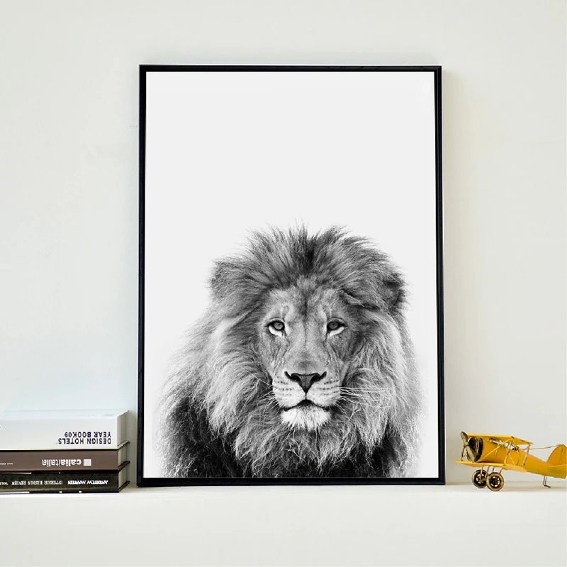 Lion Canvas Print