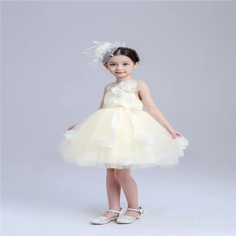 Cute Fashion Floral Brief Ball Gown Children Dress For 2 7 Years Old