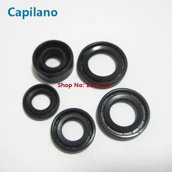 DY100 oil seal (3)