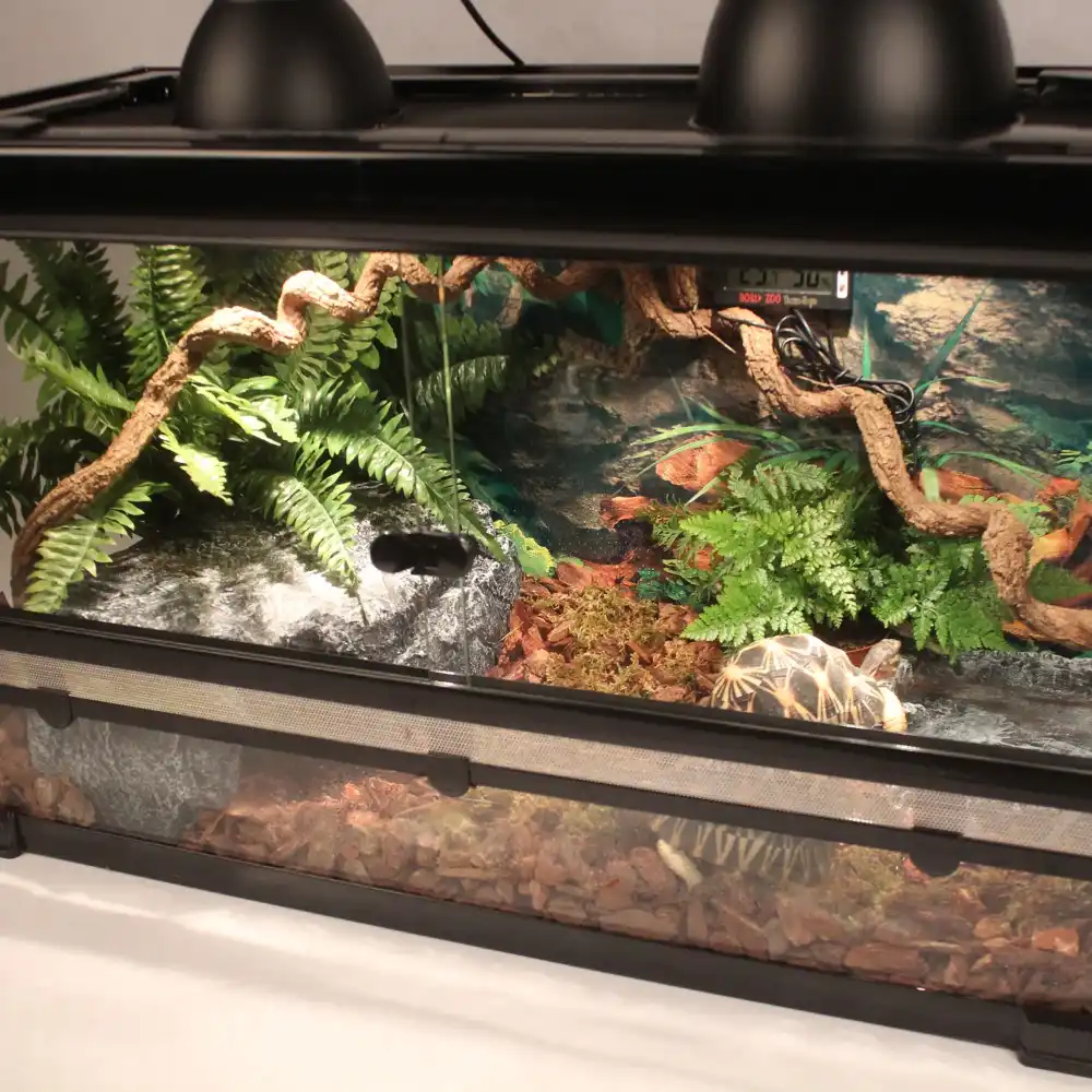 tortoise tank kit