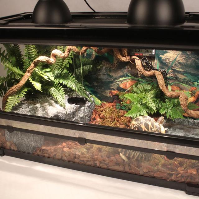 Reptile Tank Kit With Wire Mesh Lid Hideaway Cave Water Plate Bark