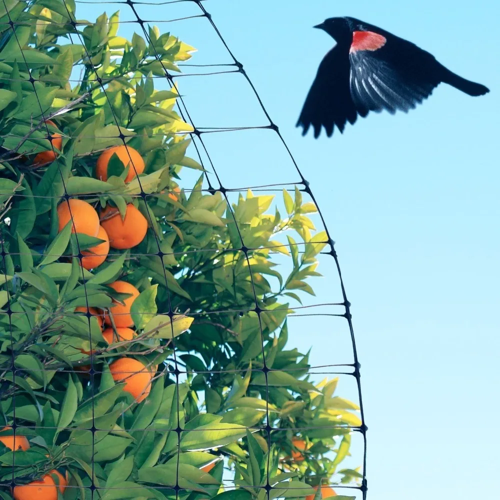 1PC 2.1x30M Reusable Bird Netting Anti-Bird Deer Pests Garden Fruit Vegetable Protection Net 7ftx100ft 2cm Hole 1PC 2.1x30M Reusable Bird Netting Anti-Bird Deer Pests Garden Fruit Vegetable Protection Net 7ftx100ft 2cm Hole