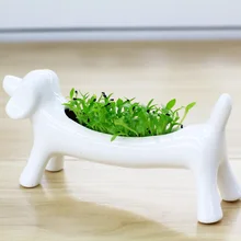 Креативная новая посадка miserly собака аэробная радиация DIY Мини Горшечное растение настольное керамическое растение