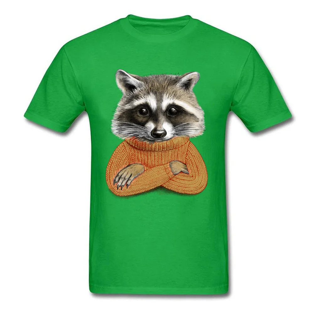 Normal Short Sleeve Tops Shirt Summer/Fall O-Neck 100% Cotton Men Tshirts Raccoon in winter sweater Normal Tee Shirts Fashion Raccoon in winter sweater green