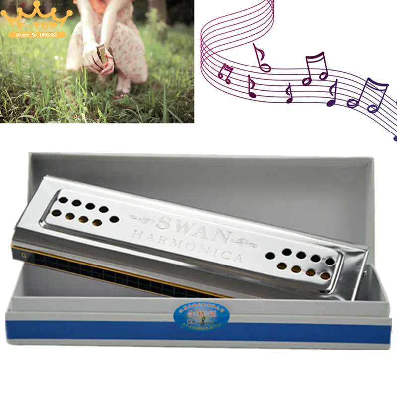 

Professional Swan 24 Holes Key Of C&G Double-side Tremolo Harmonica