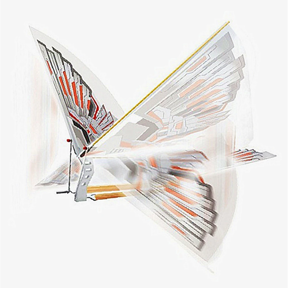 

DIY Outdoor Toys Flight Model Bird Kite Outdoor Toy Surfing Air Plane Kites Windsock Outdoor Toys Gift Toys for Childrens