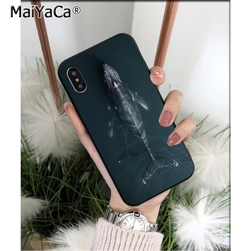 Ocean Whale Animal